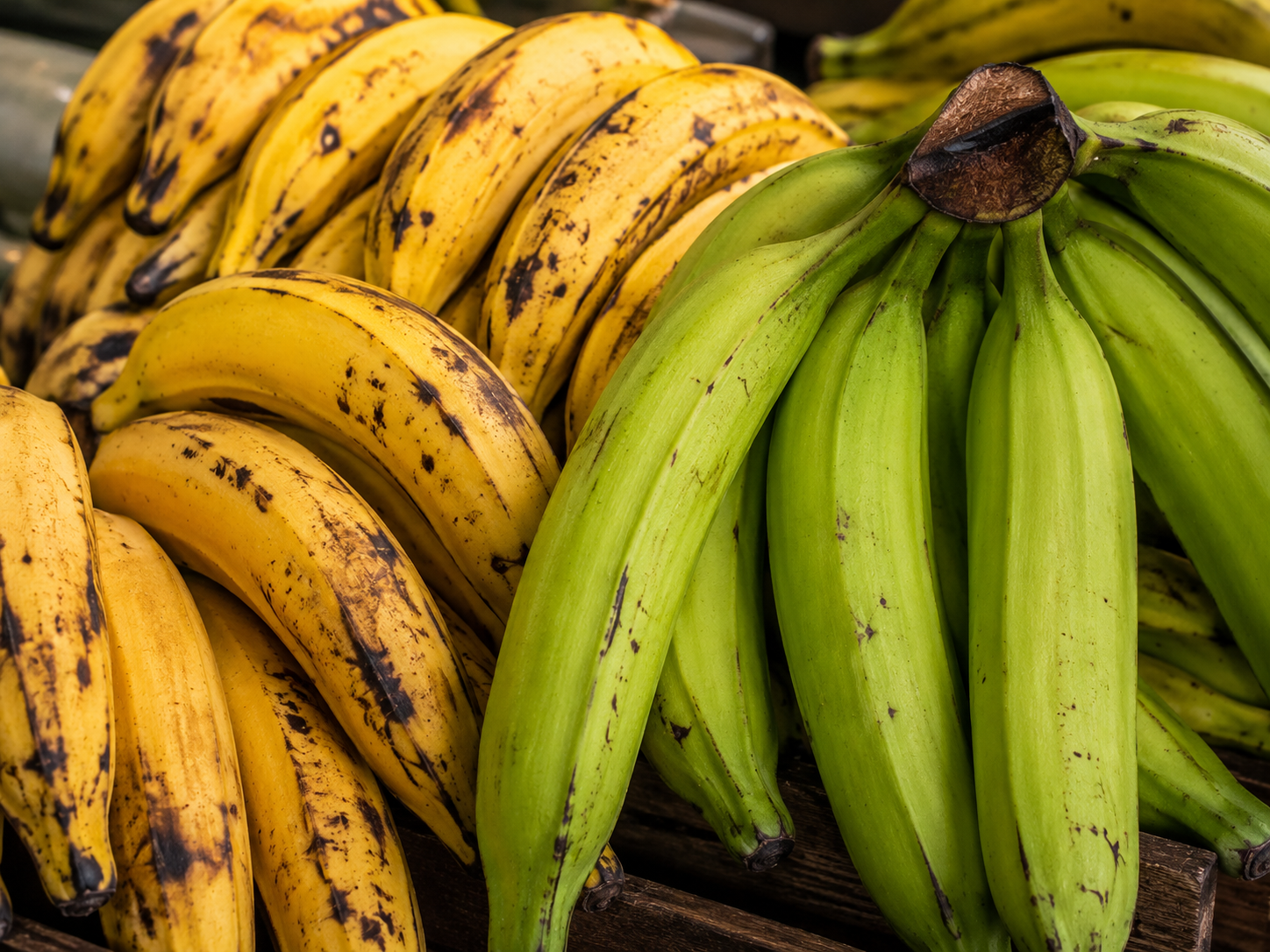 Plantain